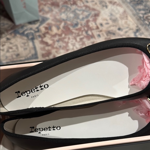 Repetto Cendrillon Ballet Flats 9 - Picture 5 of 5